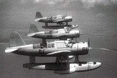 kingfisher-24-2975460315