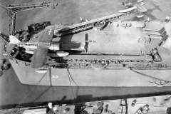 kingfisher-33b-933236998